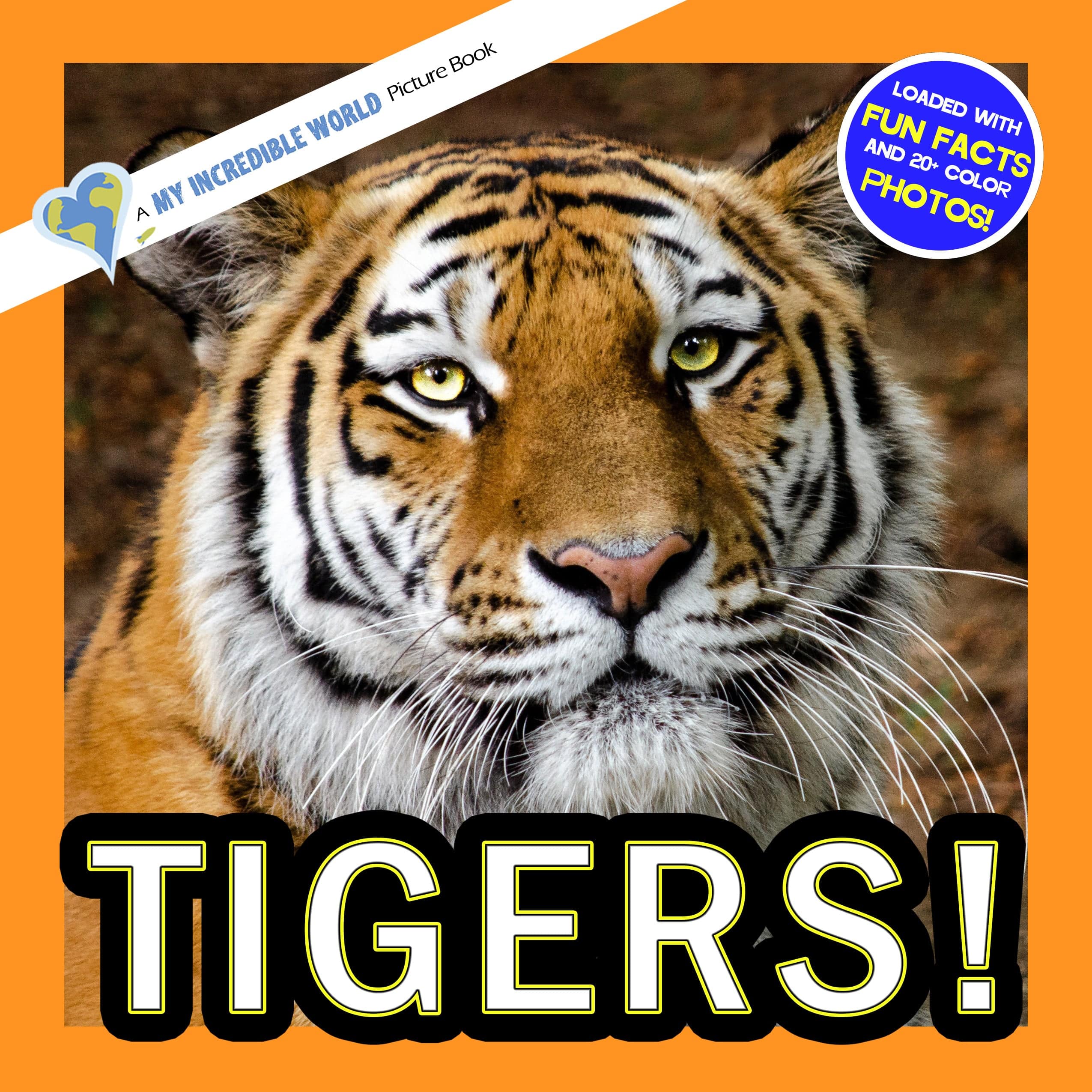 Tigers! A My Incredible World Picture Book for Children